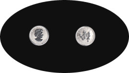 Canadá 2004 2 Dólares 1/10 Oz Hoja De Arce Reina Isabel II  Plata 0.999 - Autres & Non Classés