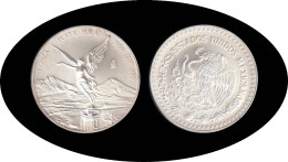 Méjico Mexico 1996 1 Onza Libertad Liberty Plata Silver Ag - Otros & Sin Clasificación