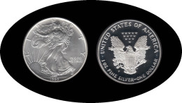 Estados Unidos United States Onza De Plata 1 $ 1993 Liberty - Andere & Zonder Classificatie