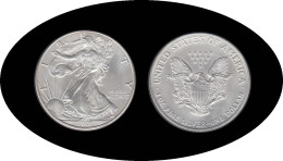 Estados Unidos United States Onza De Plata 1 $ 2001 Liberty - Autres & Non Classés