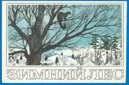 RUSSIA 1973 GROSS Matchbox Label - Winter Forest - Animals (catalog # 246) - Matchbox Labels