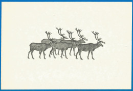 RUSSIA 1973 GROSS Matchbox Label - Winter Forest - Animals (catalog # 246) Revers - Cajas De Cerillas - Etiquetas