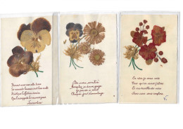 CPA  Pensée Fleurs Séchée Les 3 Cartes - Fiori