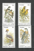 Transkei 1980 Year, Block, MNH (**) - Birds - Transkei