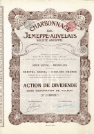 - Titre De 1910 - Charbonnage De Jemeppe-Auvelais - Société Anonyme - Déco -N° 06720 - Mijnen