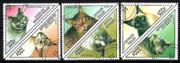 Chats Afghanistan 1999 (2) Yvert N° Non Répertorié Oblitérés Used - Katten