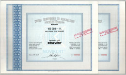 Budapest 1989. "Noviki Innovációs és Szolgáltató Részvénytársaság" Névre Szóló Részvénye 100.000Ft-ról (11x) Sorszámköve - Zonder Classificatie