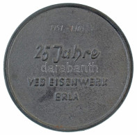 NDK 1976. "Az Erlai Vasmű 25. évfordulója 1951-1976" Nagyméretű Fe Emlékplakett (128mm) T:AU Kis Oxidáció GDR 1976. "VEB - Sin Clasificación