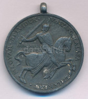 1941. "Délvidéki Emlékérem" Zn Emlékérem Mellszalag Nélkül. Szign.: BERÁN L. T:XF Hungary 1941. "Commemorative Medal For - Non Classificati