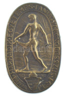 Nemes Hubert (1892- ) 1928. "Harmadik Egyetemes Tanügyi Kongresszus - Budapest" Bronz Kitűző (17x21,5mm) T:XF Tű Hiányzi - Unclassified