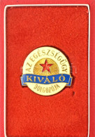 1977. "Az Egészségügy Kiváló Dolgozója" Műgyantás Bronz Kitüntető Jelvény Eredeti Dísztokban, Adományozói Okirattal és I - Unclassified