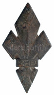 Lengyelország DN "ZHP" Cserkész Jelvény (40x22mm) T:XF - Non Classés