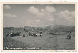 T3 1942 Csíkszentdomokos, Sandominic; Garados Tető, Erdélyi Folklór / Transylvanian Folklore (EB) - Ohne Zuordnung
