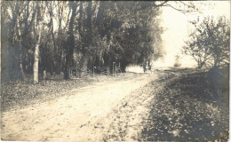 T2 1912 Gyorok, Ghioroc; Erdő, Lovaskocsi / Forest Road, Horse Cart. Photo - Non Classés