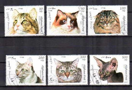 Chats Afghanistan 1997 (10) Yvert N° 1531 à 1536 Oblitérés Used - Gatos Domésticos