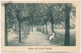 * T2/T3 1929 Szelistye, Salistea Sibiului, Saliste; Vedere Din Parcul / Park. I. Dadarlat Kiadása és Felvétele / Park (k - Non Classés