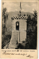 T2/T3 1904 Tusnádfürdő, Baile Tusnad; Apor Bástya. Adler Alfréd / Karlshöhe / Bastion Tower (EK) - Non Classés
