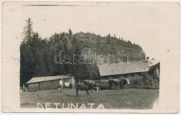 * T2/T3 1936 Verespatak, Goldbach, Rosia Montana; Detonáta-hegy / Detunata Flocoasa / Mountain, Basalt Columns. Photo (E - Non Classés