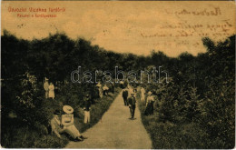 T3 1908 Vízakna, Salzburg, Ocna Sibiului; Részlet A Fürdőparkból. Budovszky L. Kiadása 1003. (W.L. ?) / Spa Park (ázott  - Sin Clasificación
