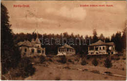 T3 1913 Bártfa, Bártfafürdő, Bardejovské Kúpele, Bardejov; Erzsébet Királyné Körút, Nyaralók. Divald / Street View, Vill - Ohne Zuordnung