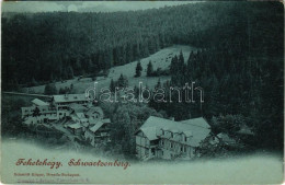 * T2/T3 Feketehegyfürdő, Feketehegy, Cernohorské Kúpele (Merény, Vondrisel, Nálepkovo); Látkép / General View (kopott Sa - Sin Clasificación