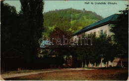 T2/T3 1914 Vihnye, Vihnyefürdő, Kúpele Vyhne; Hell és Licskóház Nyaralók. Joerges 1910. / Villa Hotels (EK) - Unclassified