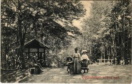 * T3 1918 Gyertyánliget, Polyana-Gyertyánliget, Kabola Polyána, Kobyletska Poliana (Máramaros, Maramures); Sétány Park.  - Non Classés