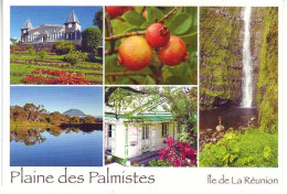 Ile De La Reunion. Ed Orphie. P 24 Plaine Des Palmistes - Other & Unclassified