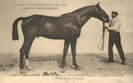 Hippisme * La France Chevaline N°85 1909 * Concours Centrale Hippique * Cheval GOUVION ST CYR Alezan étalon Normand - Horse Show