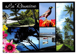 Ile De La Reunion. Ed Orphie. PR 41 Multivue St Pierre Ste Marie Oiseaux - Autres & Non Classés