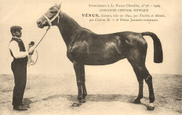 Hippisme * La France Chevaline N°76 1909 * Concours Centrale Hippique * Cheval VENUS Alezane Jument Trotteuse - Reitsport