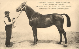 Hippisme * La France Chevaline N°76 1909 * Concours Centrale Hippique * Cheval VENUS Alezane Jument Trotteuse - Horse Show