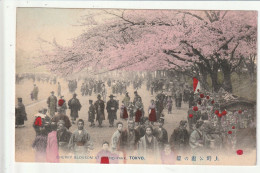 CP JAPON Cherry Blossom At At Jyeno Park TOKYO - Tokyo