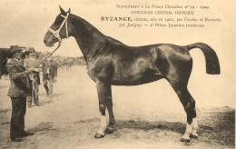 Hippisme * La France Chevaline N°79 1909 * Concours Centrale Hippique * Cheval BIZANCE Alezane Jument Trotteuse - Hípica