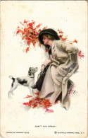 T2/T3 1915 Can't You Speak? / Lady Art Postcard With Dog. Reinthal & Newman No. 412. S: Harrison Fisher (fa) - Ohne Zuordnung