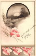 T4 Floral Greeting Card, Erika Nr. 2523. Emb. Litho (pinhole) - Non Classificati