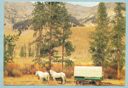 Sheepherding Wagon At Base Of Boulder Mountain Near SUN VALLEY - Autres & Non Classés