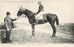 Hippisme * La France Chevaline N°36 1909 * Concours Centrale Hippique * Cheval FINE MOUCHE Alezane - Horse Show
