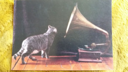 CPM CHAT PHONOGRAPHE BERNARD BOISSON LA VOIX DE SON MAITRE ED CARTES D ART SERIE CHATS N° 96 / BB 9 - Chats