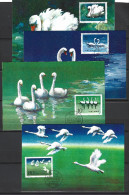 CHINE. N°2622-5 Sur 4 Cartes Maximum De 1983. Cygne. - Swans