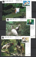 CHINE. N°2652-4 Sur 3 Cartes Maximum De 1984. Ibis. - Storchenvögel