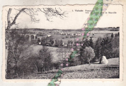 Vielsalm, Panorama Vers Le Grand Pont Et Neuville - Vielsalm