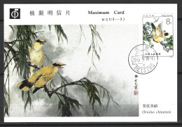 CHINE. N°2537 Sur Carte Maximum De 1982. Loriot. - Pájaros Cantores (Passeri)