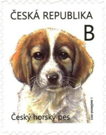 1133 -4 Czech Republic Puppy Czech Mountain Dog 2021 - Unused Stamps