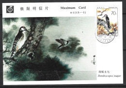 CHINE. N°2539 Sur Carte Maximum De 1982. Pic épeiche. - Spechten En Klimvogels