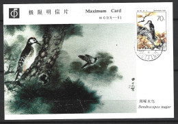 CHINE. N°2539 Sur Carte Maximum De 1982. Pic épeiche. - Piciformes (pájaros Carpinteros)