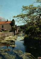 Nismes - Sortie De L'eau Noire - Moulin Passerelle - Belgique Belgium - Andere & Zonder Classificatie