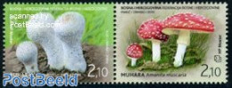 Bosnia Herzegovina - Croatic Adm. 2010 Mushrooms 2v [:], Mint NH, Nature - Mushrooms - Champignons
