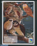 Saint Vincent & The Grenadines 2013 Owls Of Brazil 3v M/s, Mint NH, Nature - Birds - Birds Of Prey - Owls - St.-Vincent En De Grenadines
