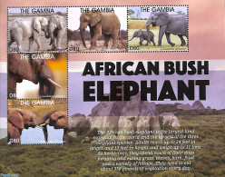 Gambia 2021 African Bush Elephant 5v M/s, Mint NH, Nature - Elephants - Gambie (...-1964)
